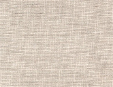 Sedge_005