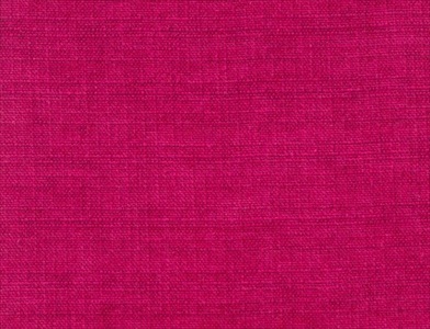 Sedge_009