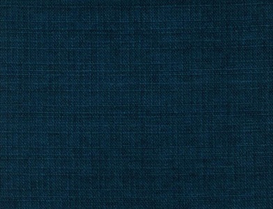 Sedge_011