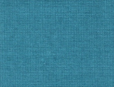 Sedge_012