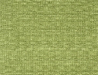 Sedge_013