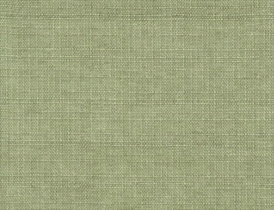 Sedge_014