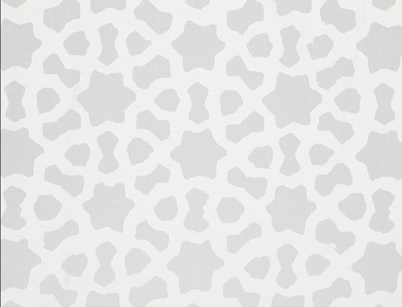Seeing Stars 2139-01