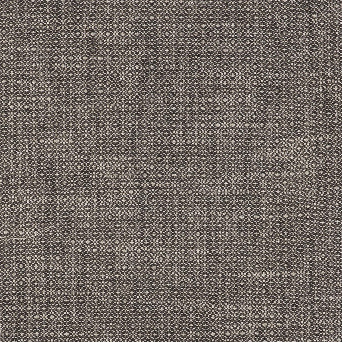 Semilla GDT-5517-002
