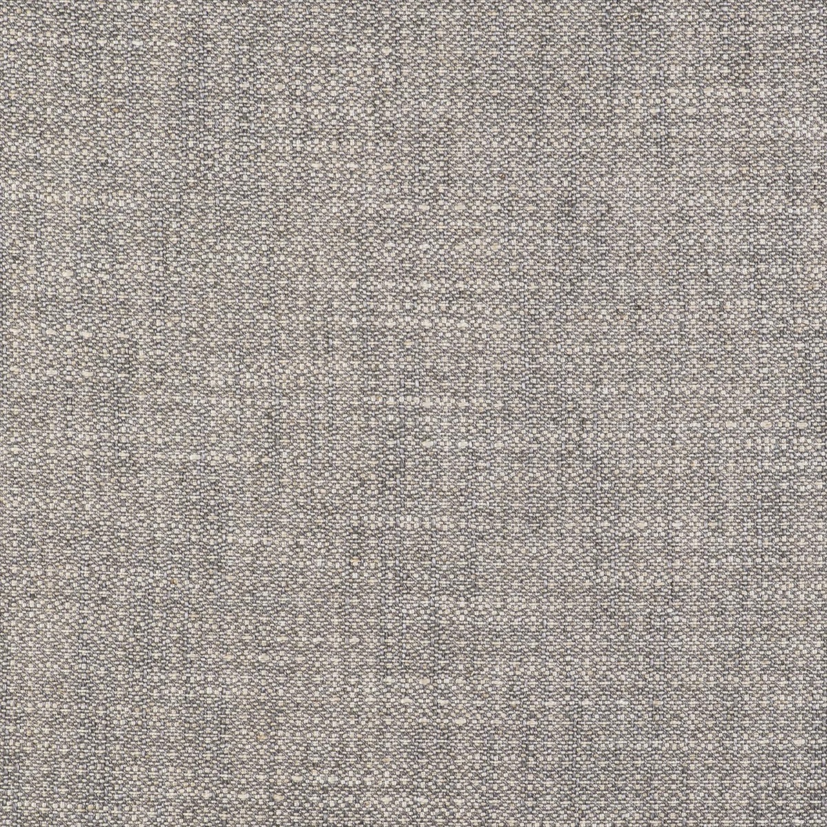 Semilla GDT-5517-004