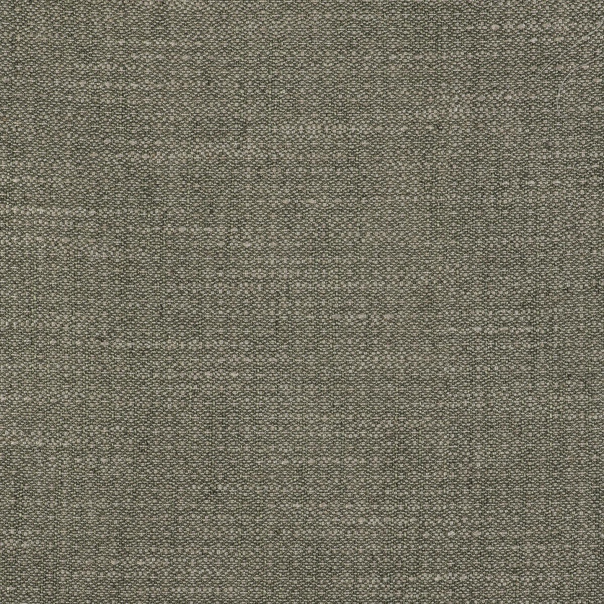 Semilla GDT-5517-006