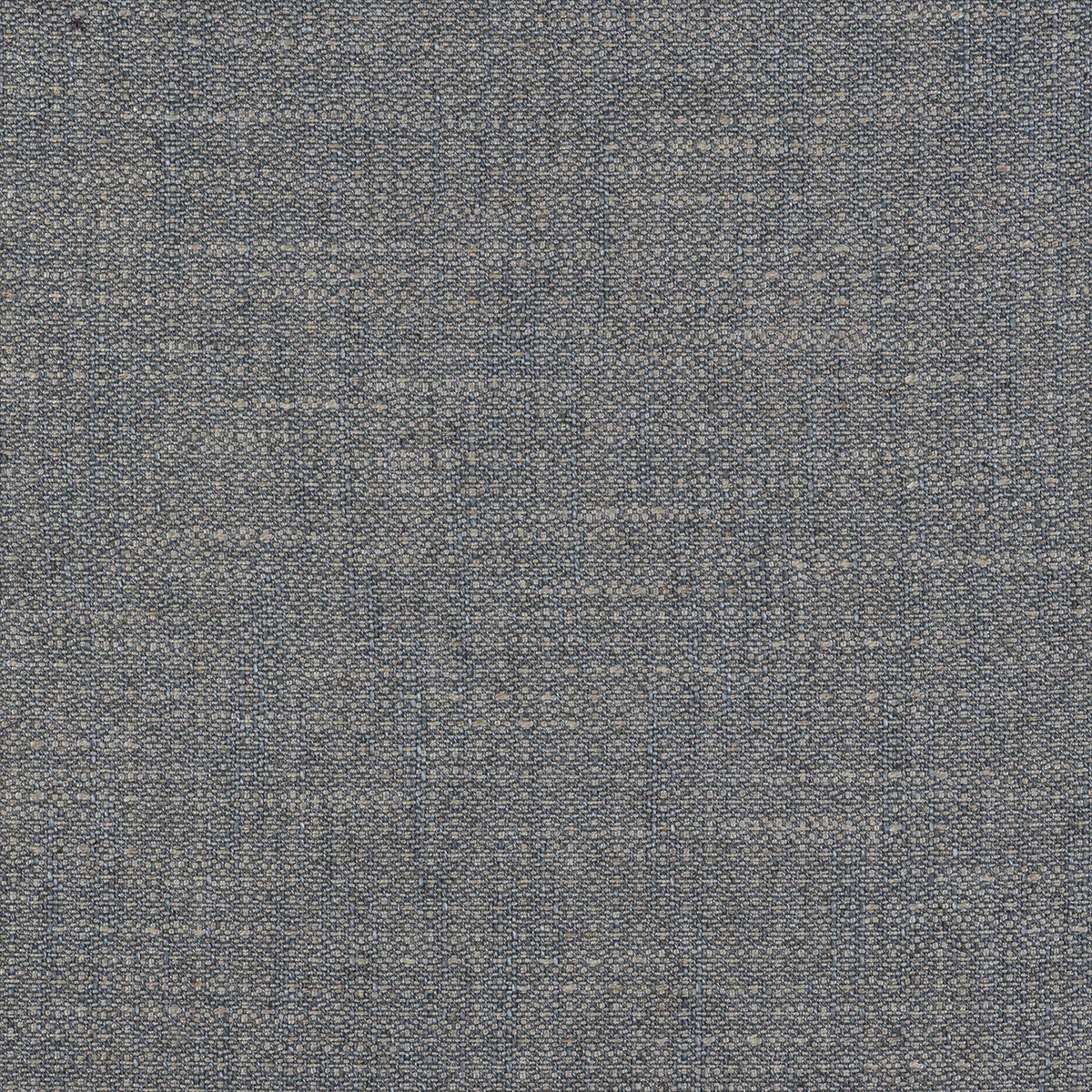Semilla GDT-5517-008