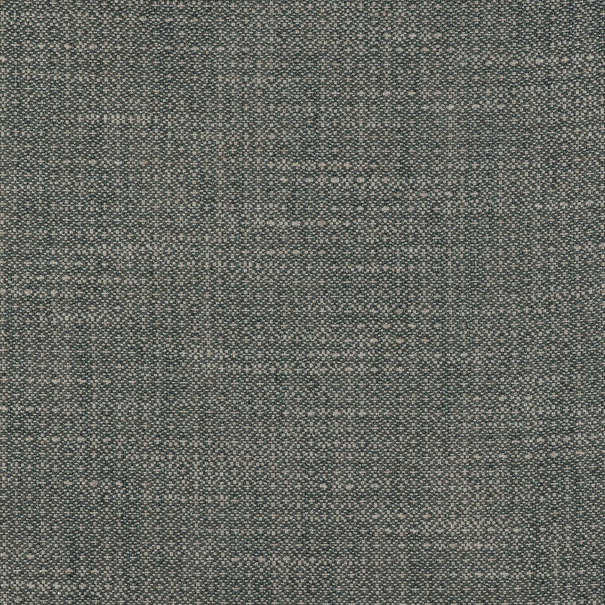 Semilla GDT-5517-009