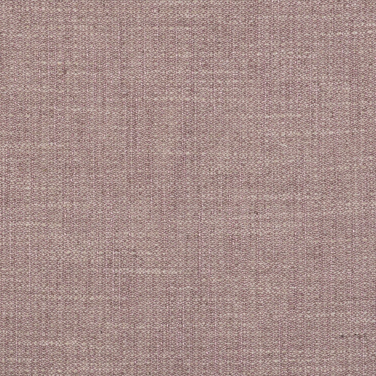 Semilla GDT-5517-011