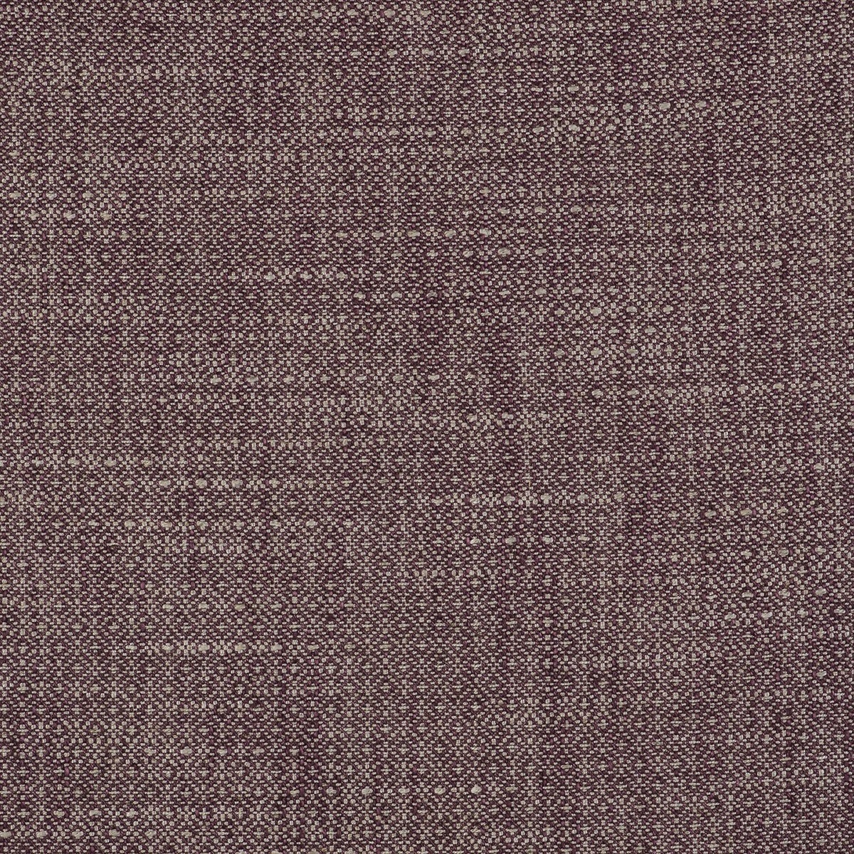 Semilla GDT-5517-012
