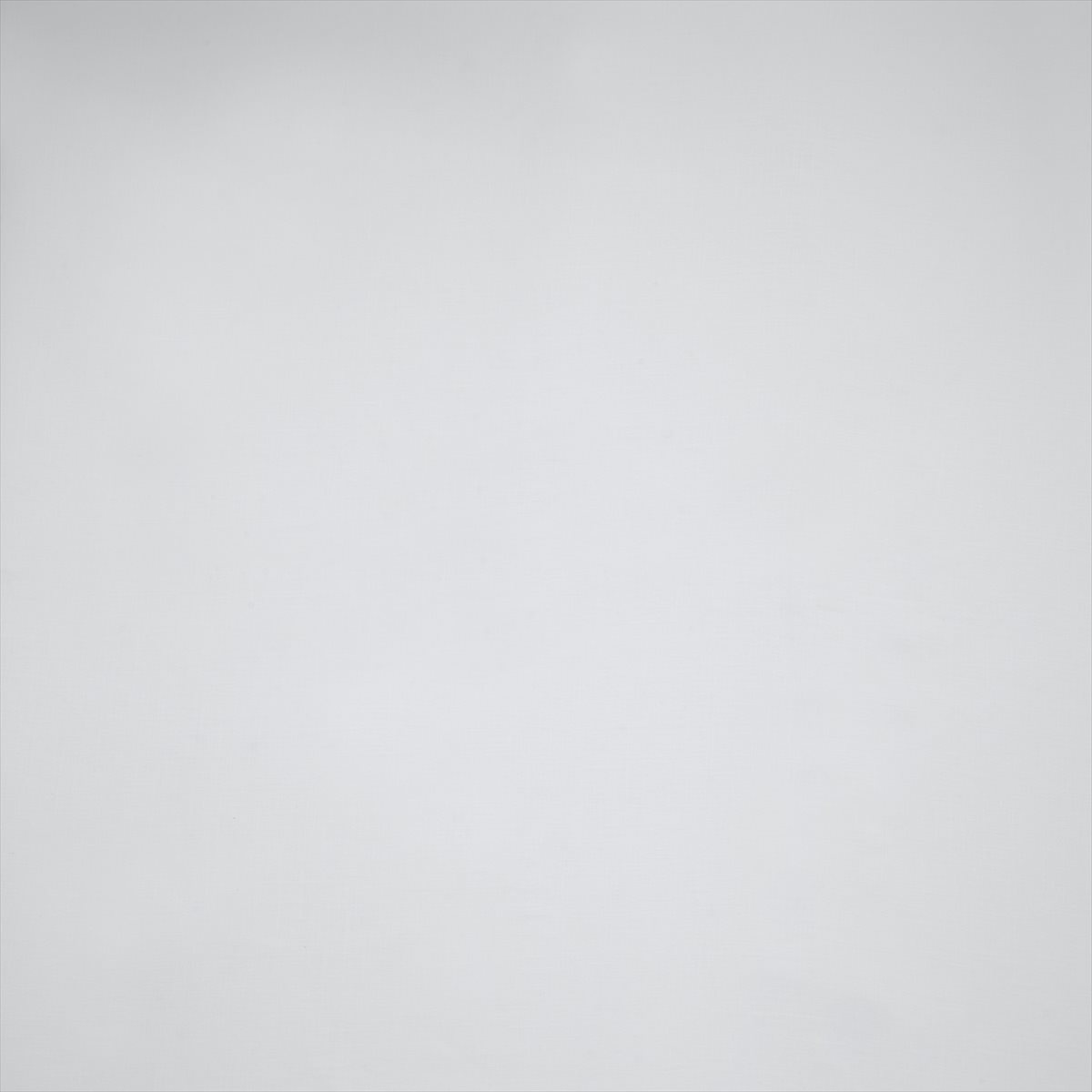 Serene Bright White