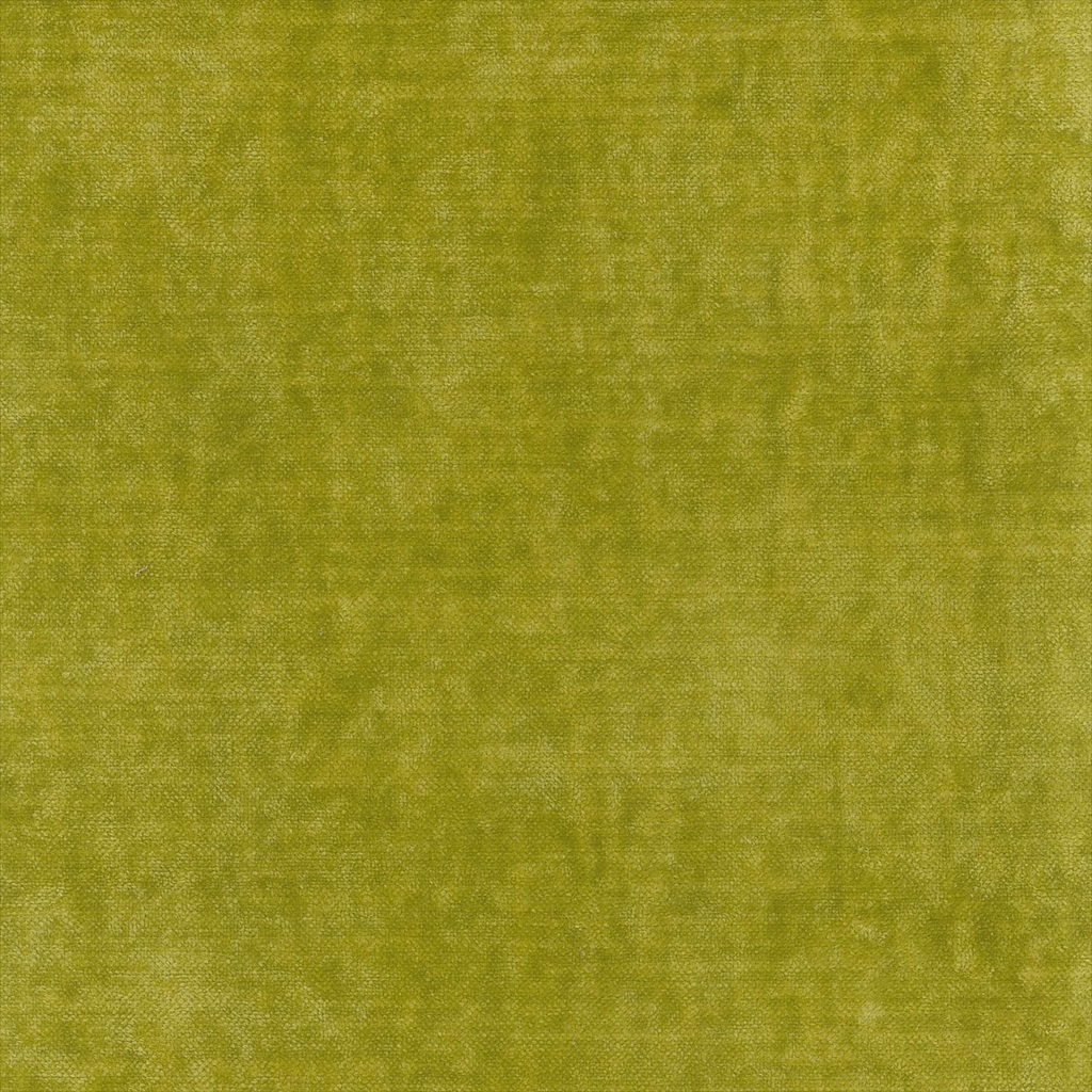 Shaggy 17242-011