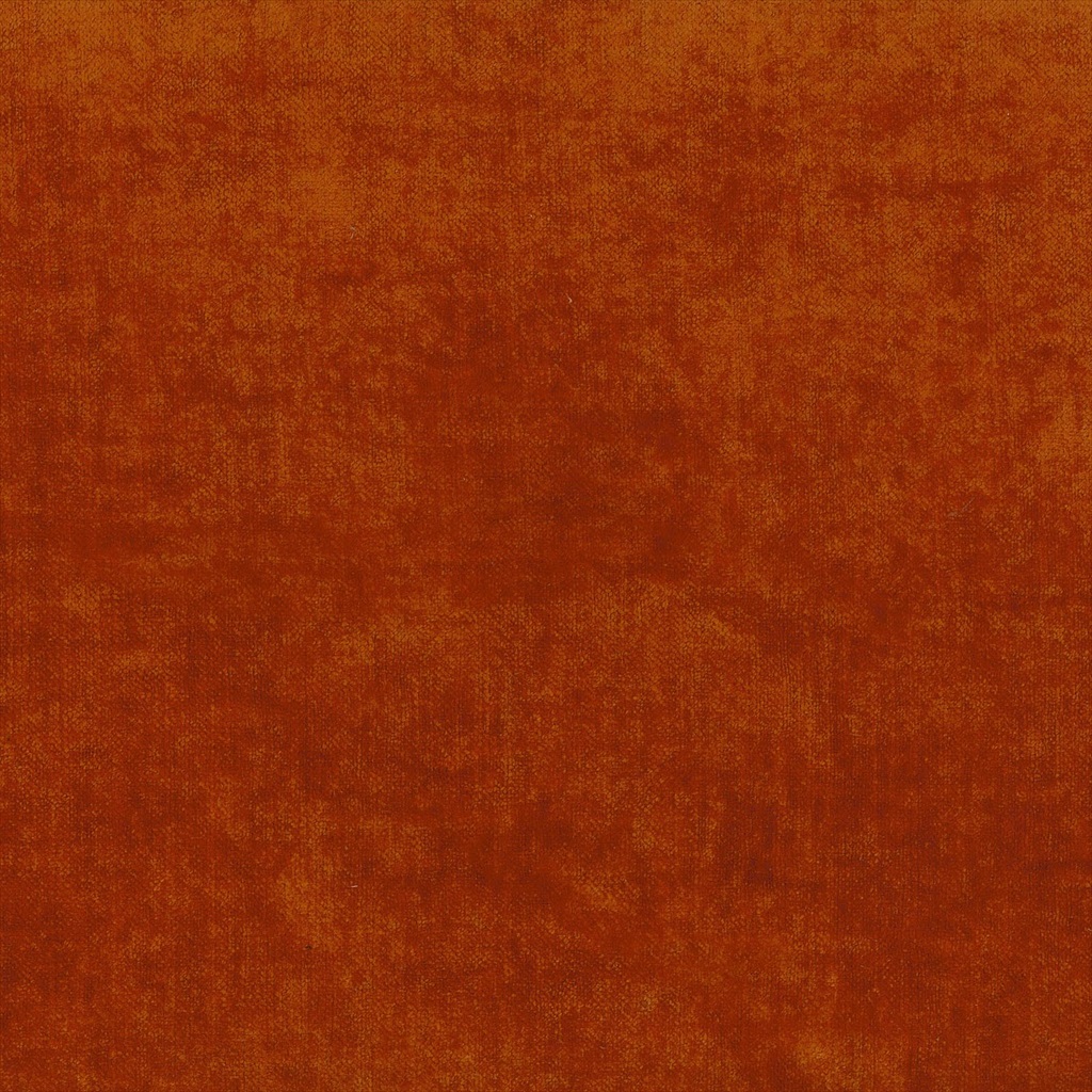 Shaggy 17242-012