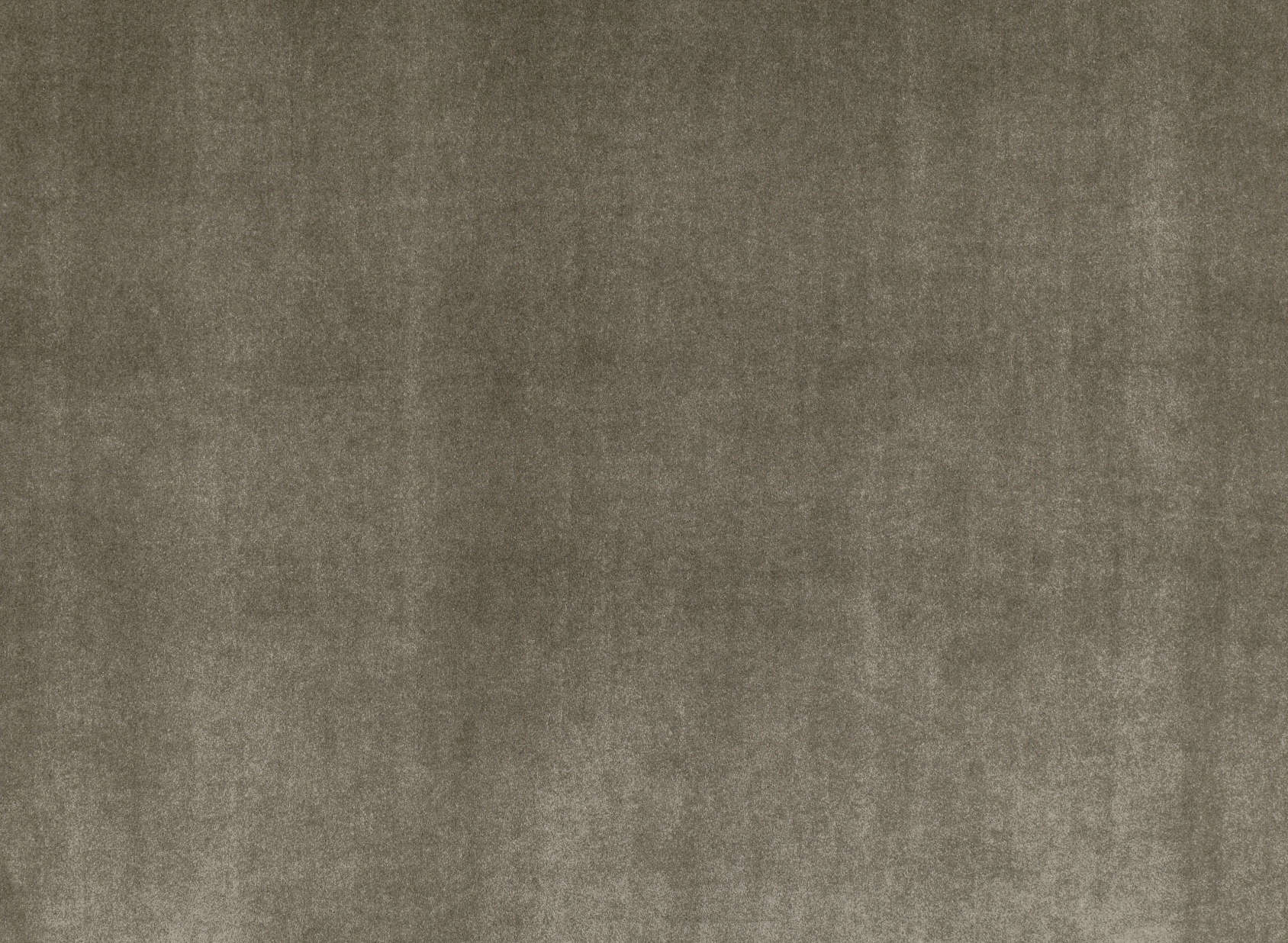 Shai Taupe Z415-04