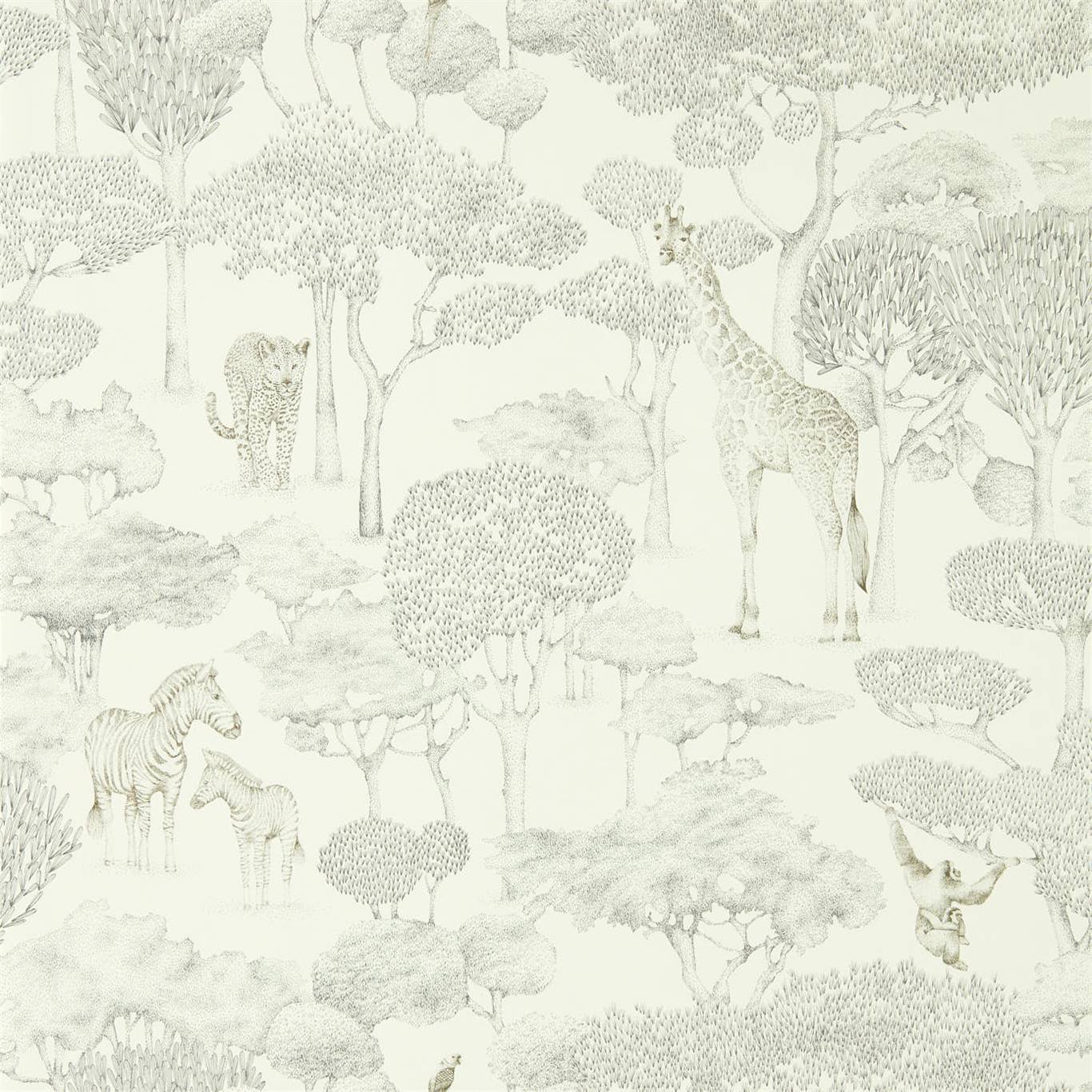 Shamwari 112243