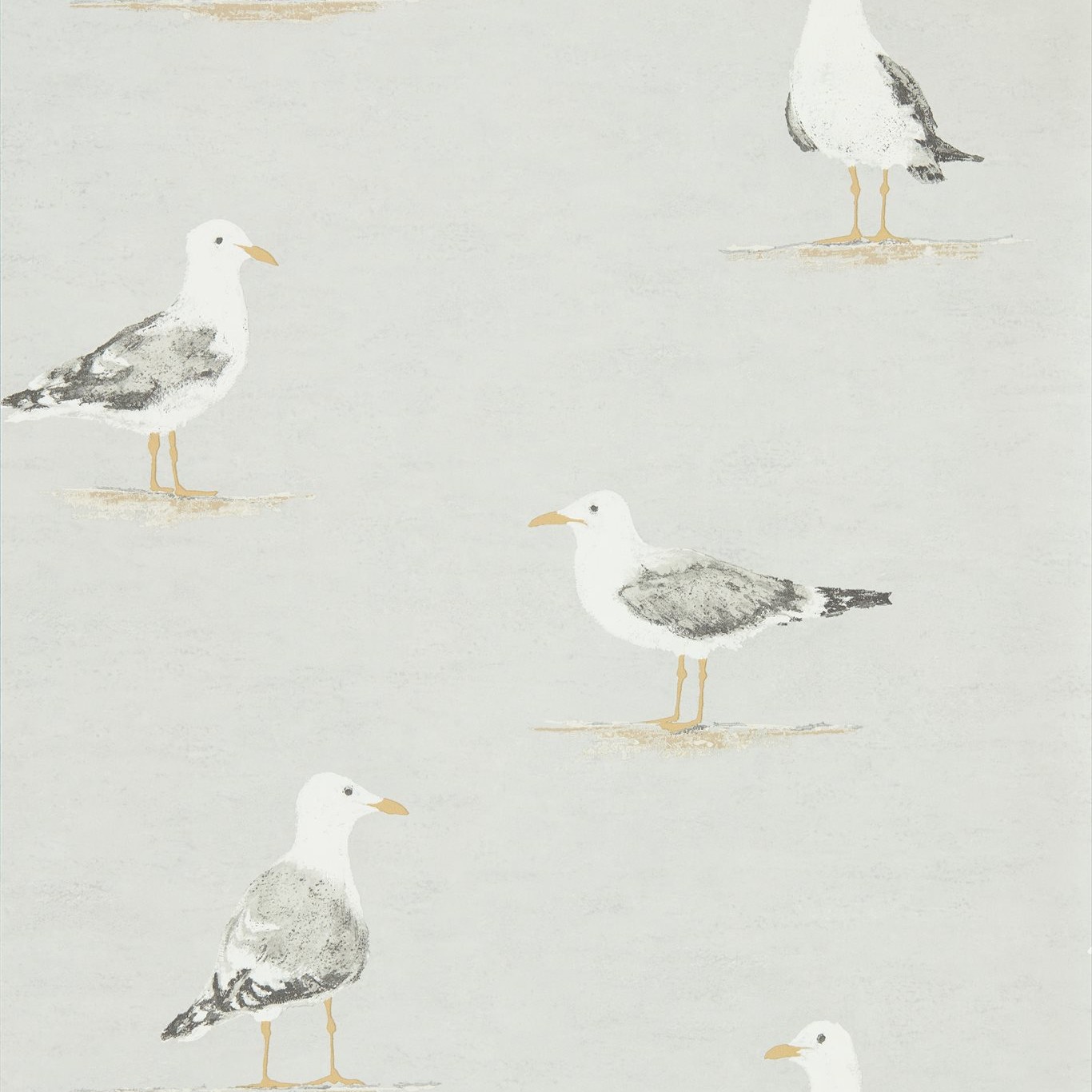 Shore Birds 216565