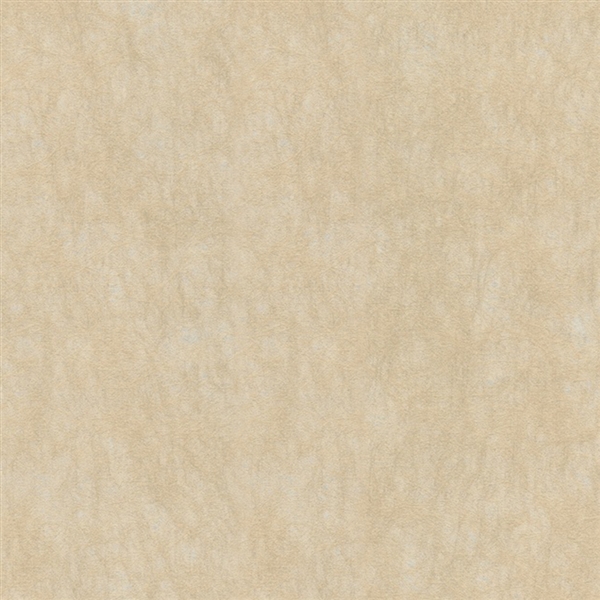 Signature 59781