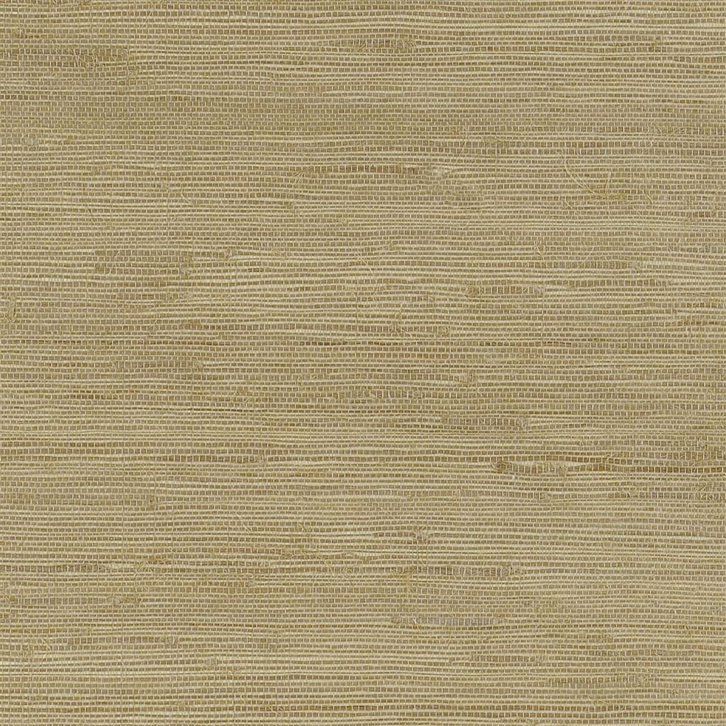 Silas PRL5031-01