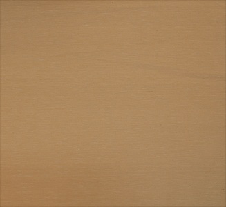 Silk CB60805