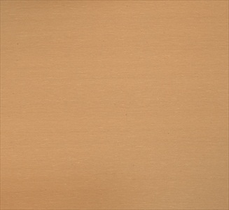 Silk CB60840