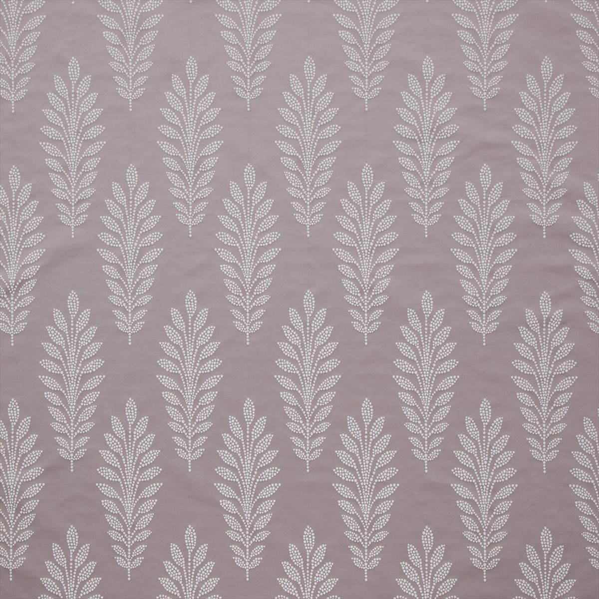 Simplicity Blush