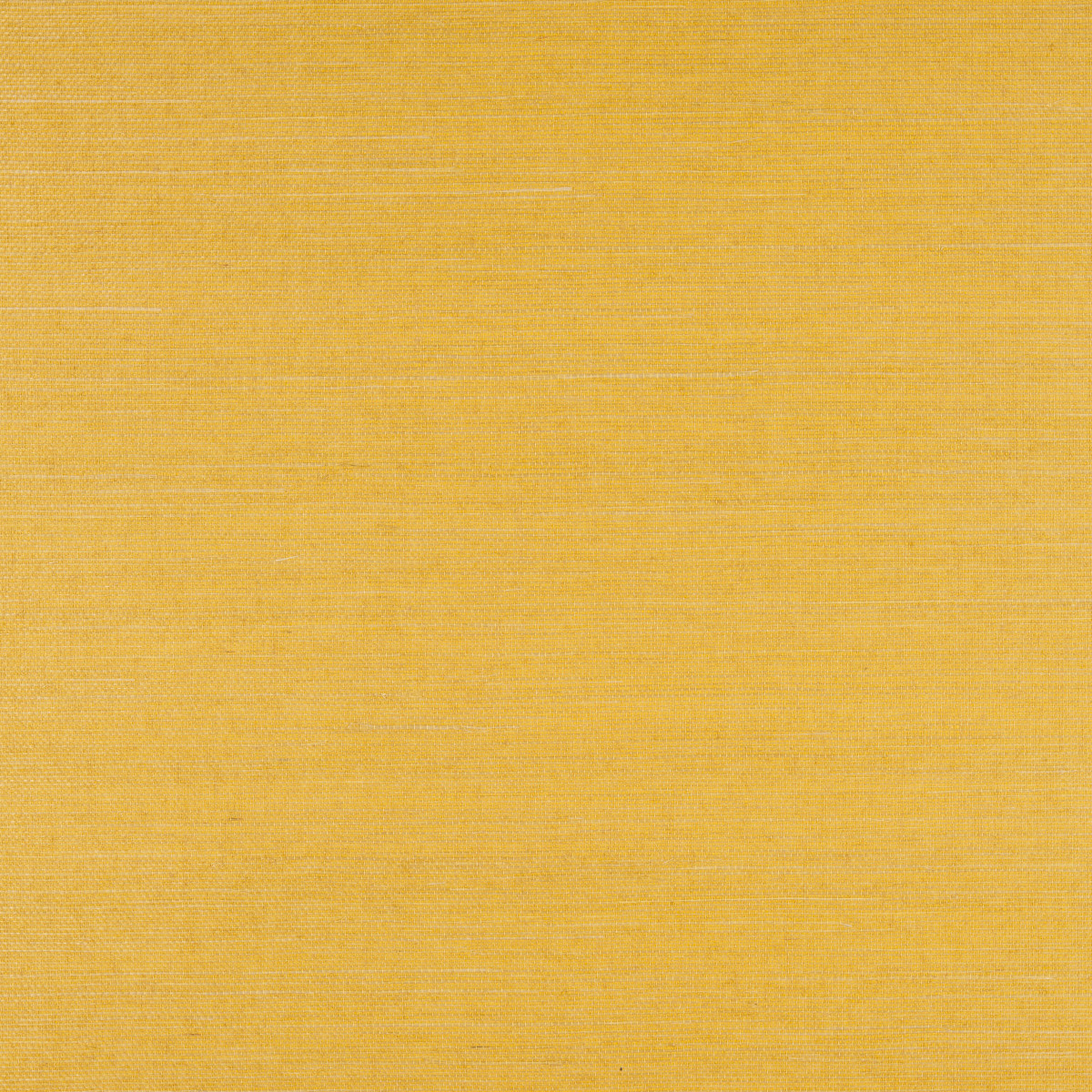 Sisal SID125