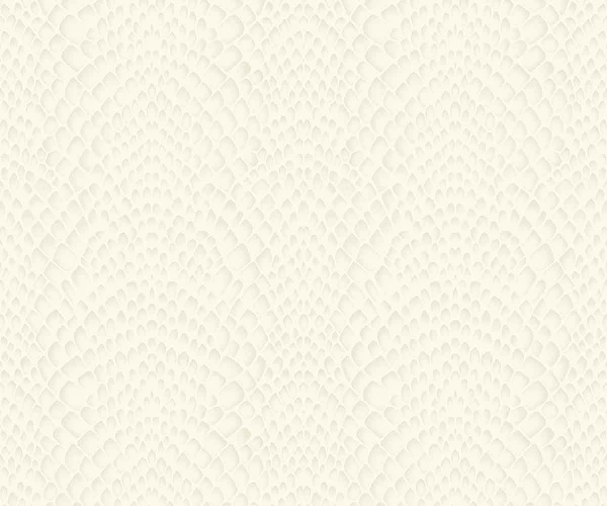 Amazon LP00307