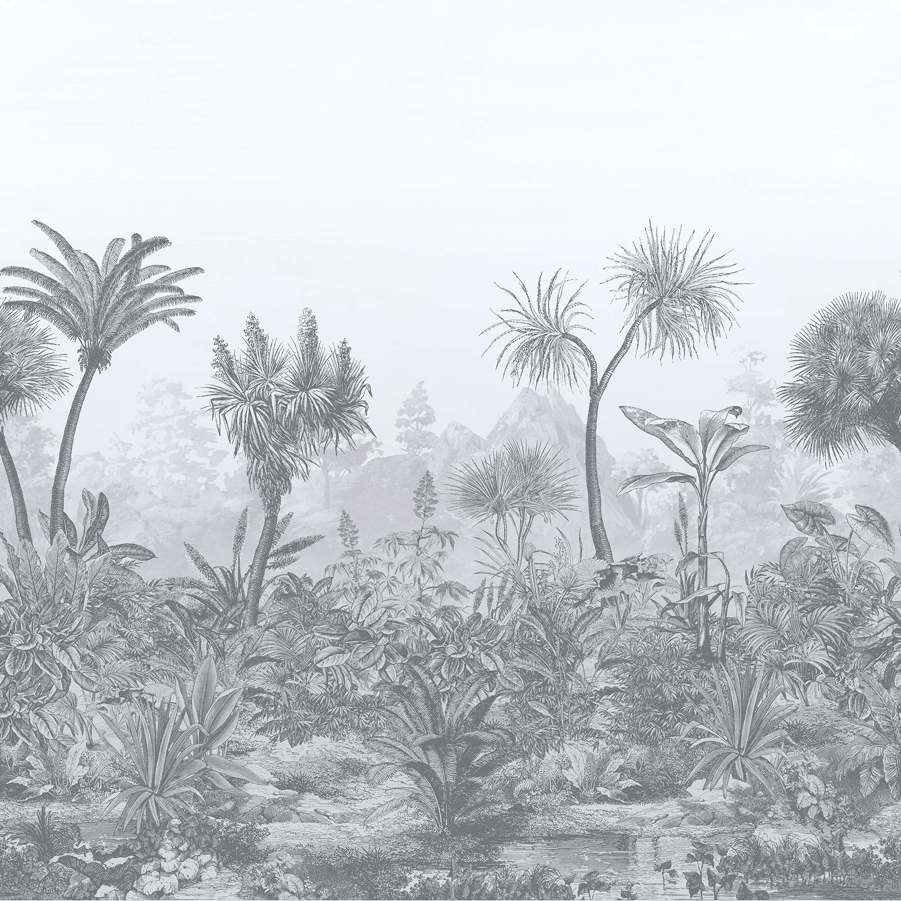 Ceylon ML01418