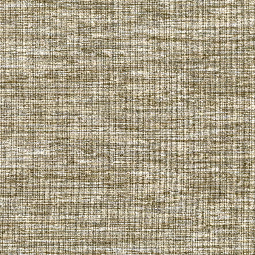 Gossamer CH01316