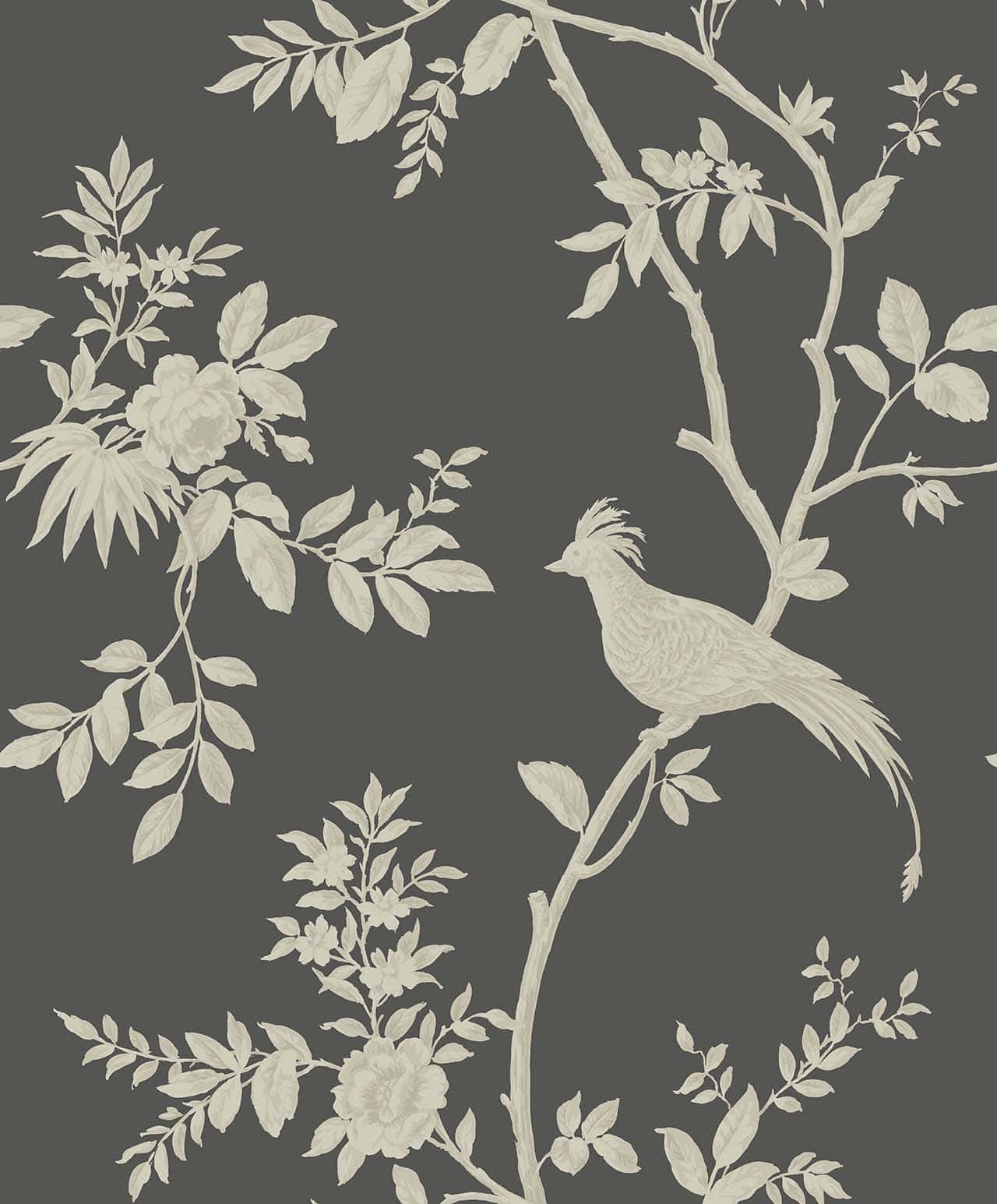 Grandeur CO00117