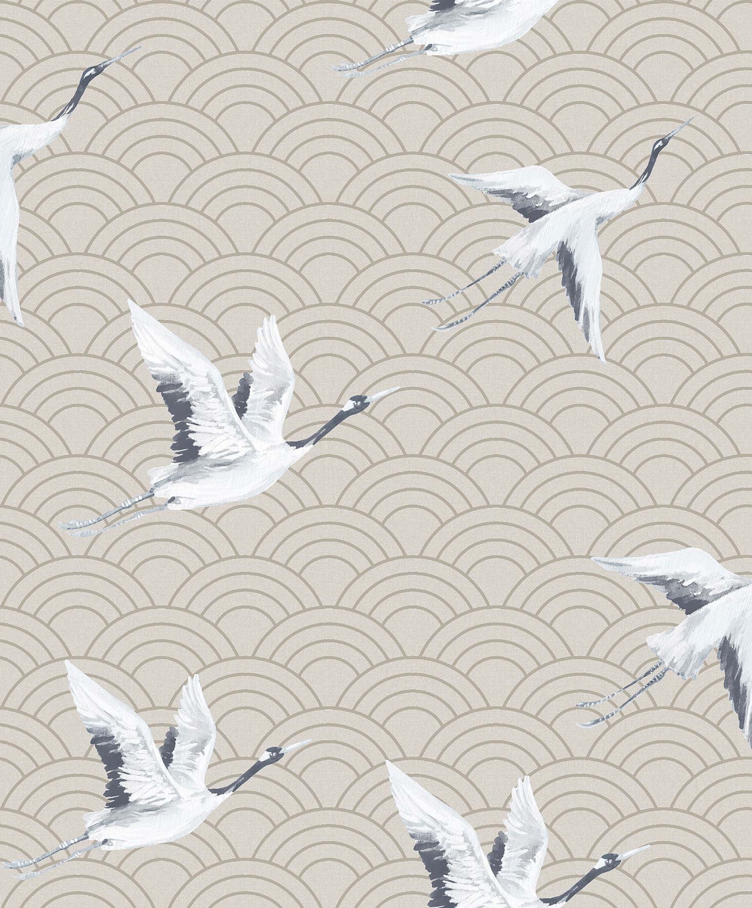 Japanese Cranes DYW0011