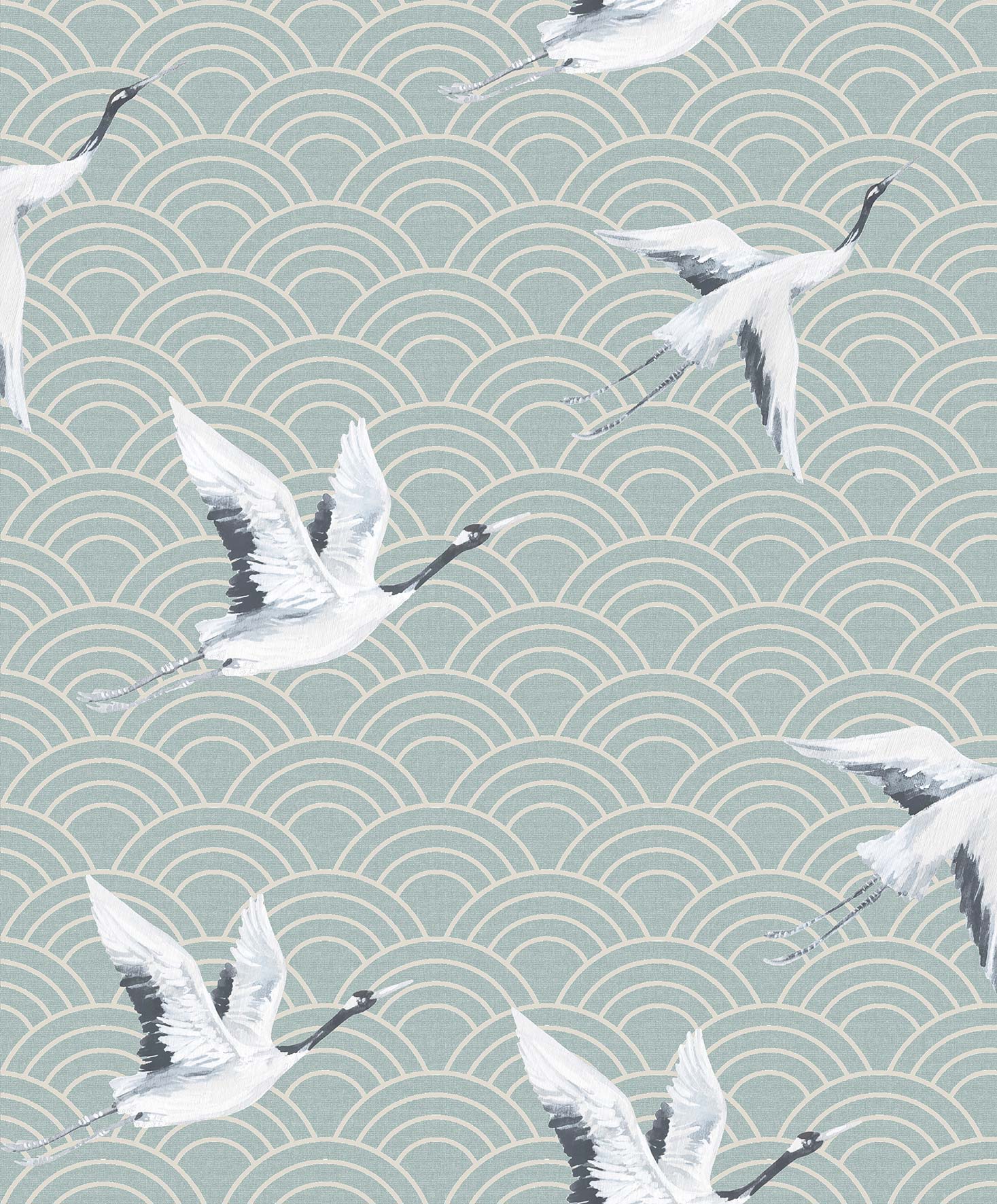 Japanese Cranes DYW0012