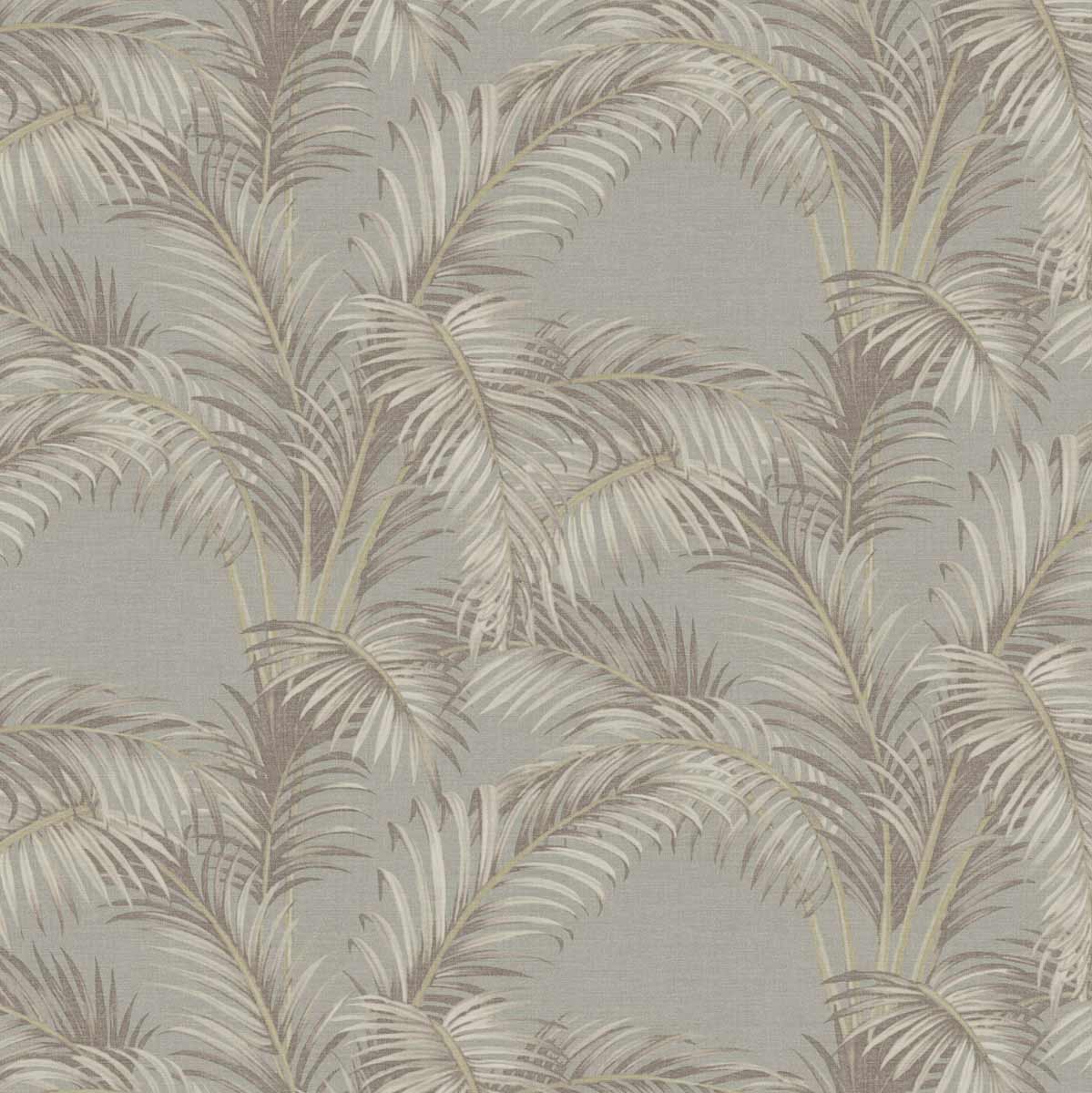 Palmaria PA01625
