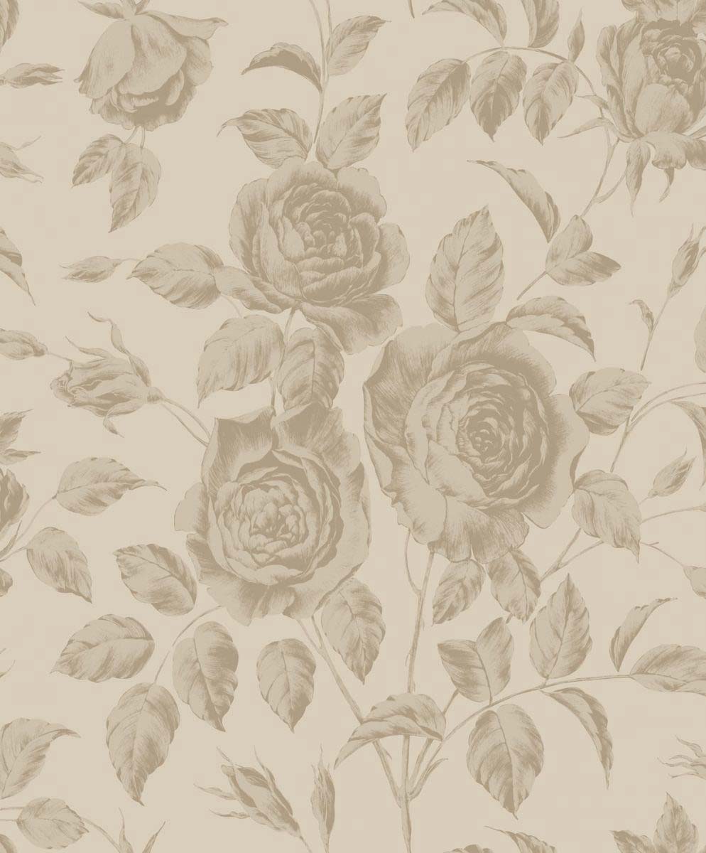Rose SR00524