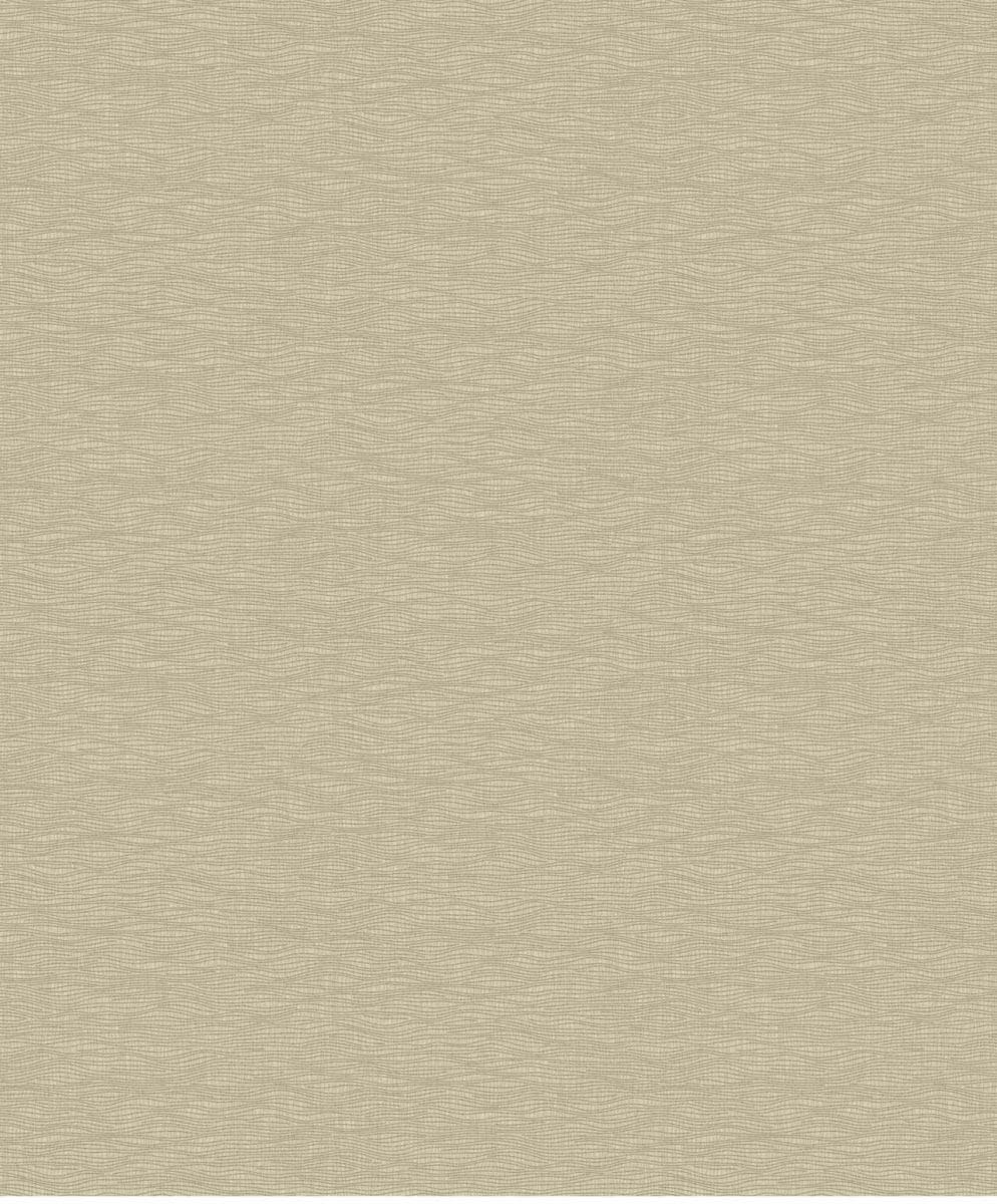 Small String CP00729