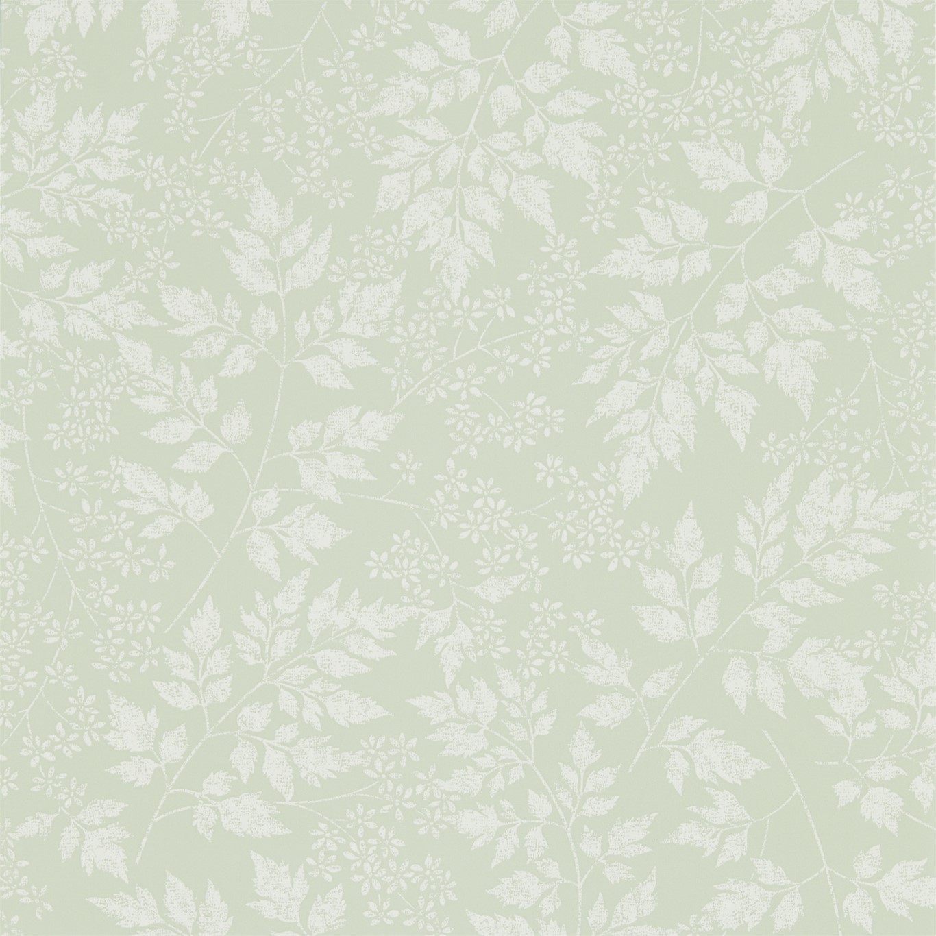 Spring Leaves 216372