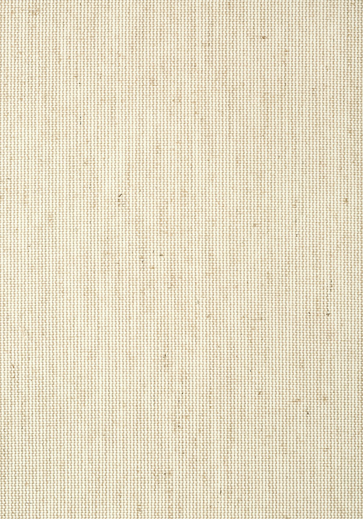 Straw Jute T24103