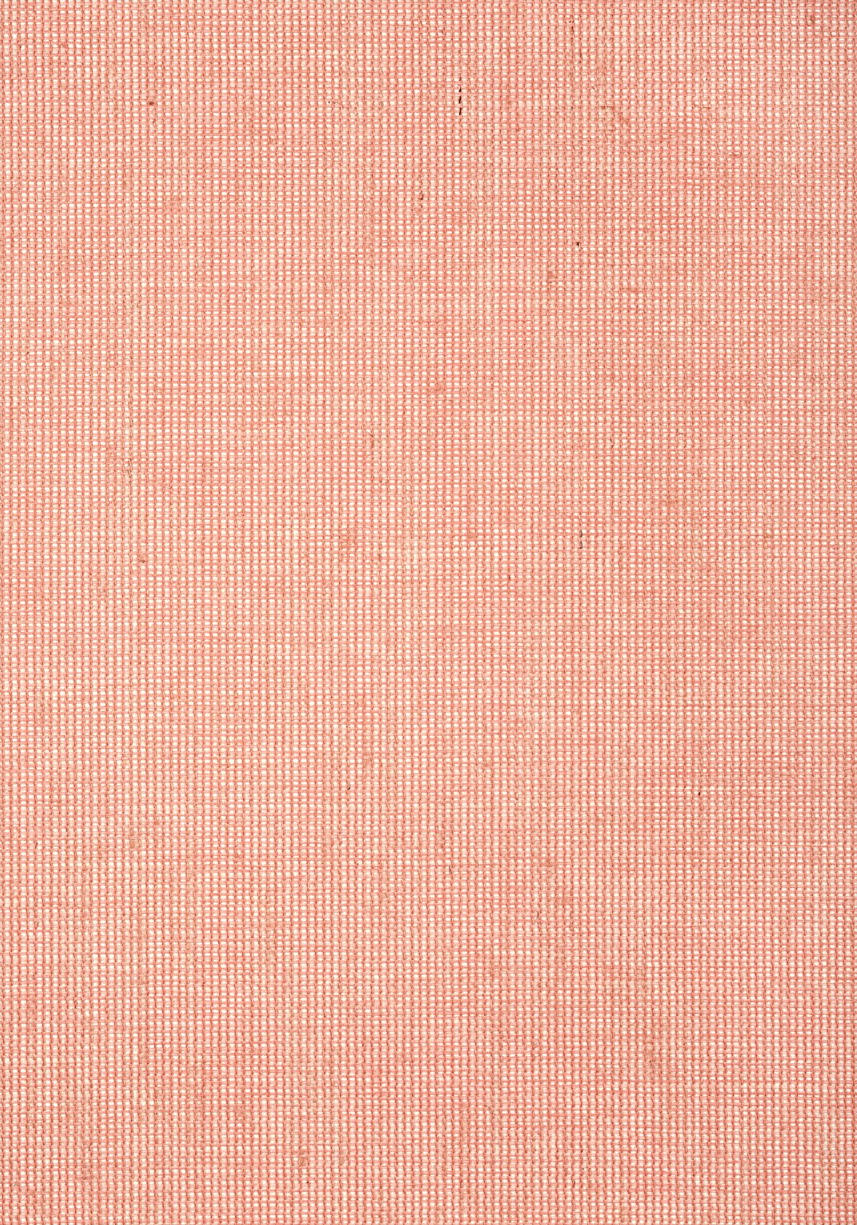 Straw Jute T24107