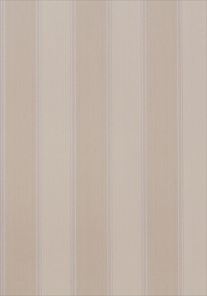 Strie Stripe 839-T-4117