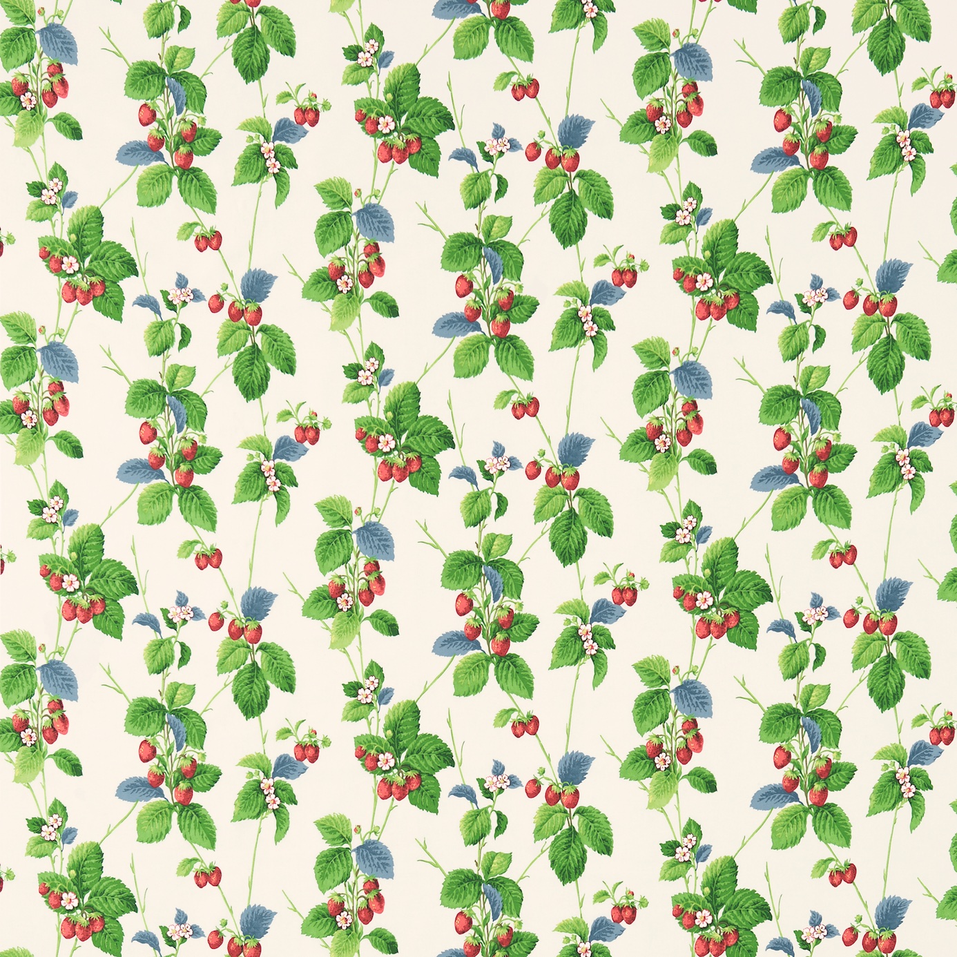 Summer Strawberries 224343