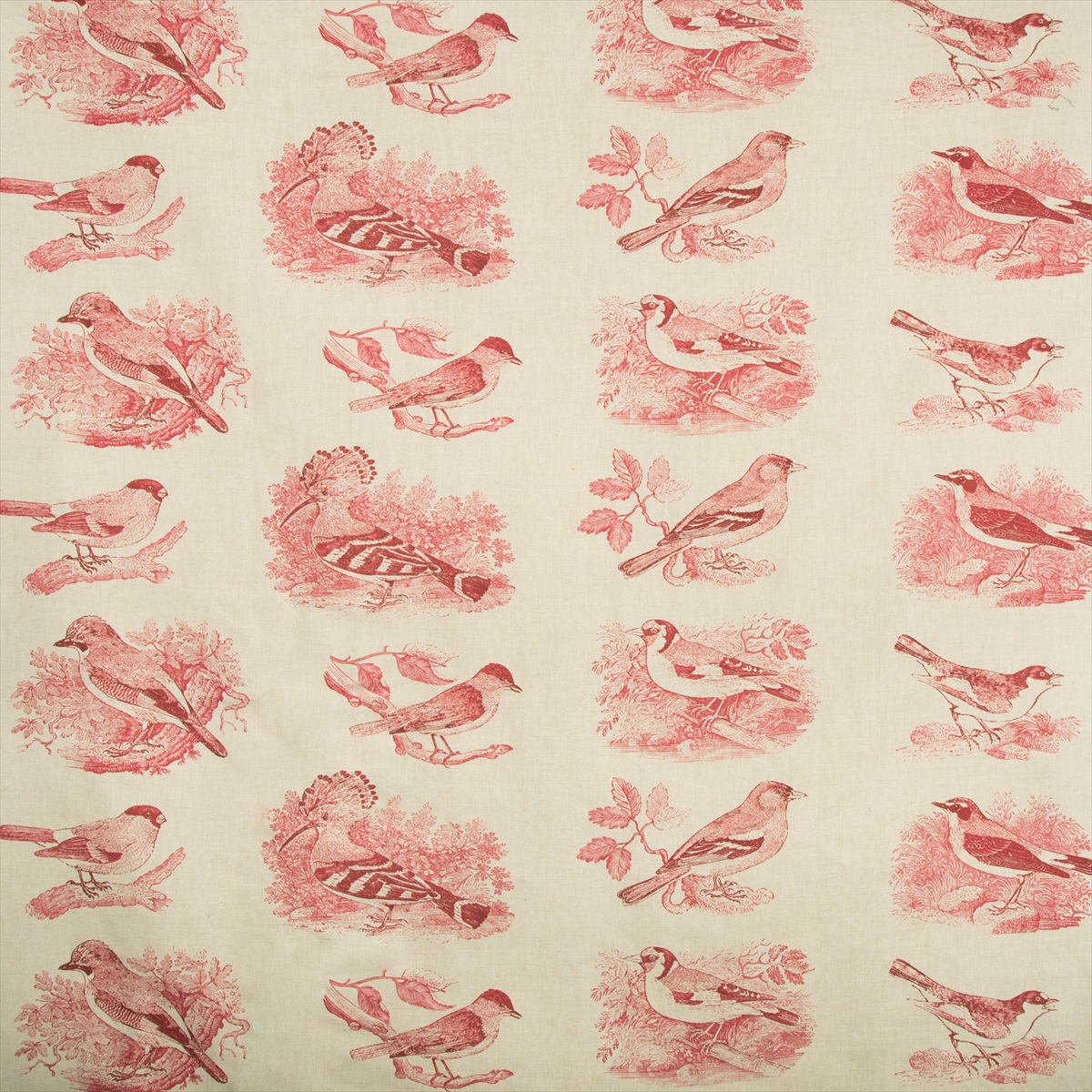 Sumter Toile 2017134-19