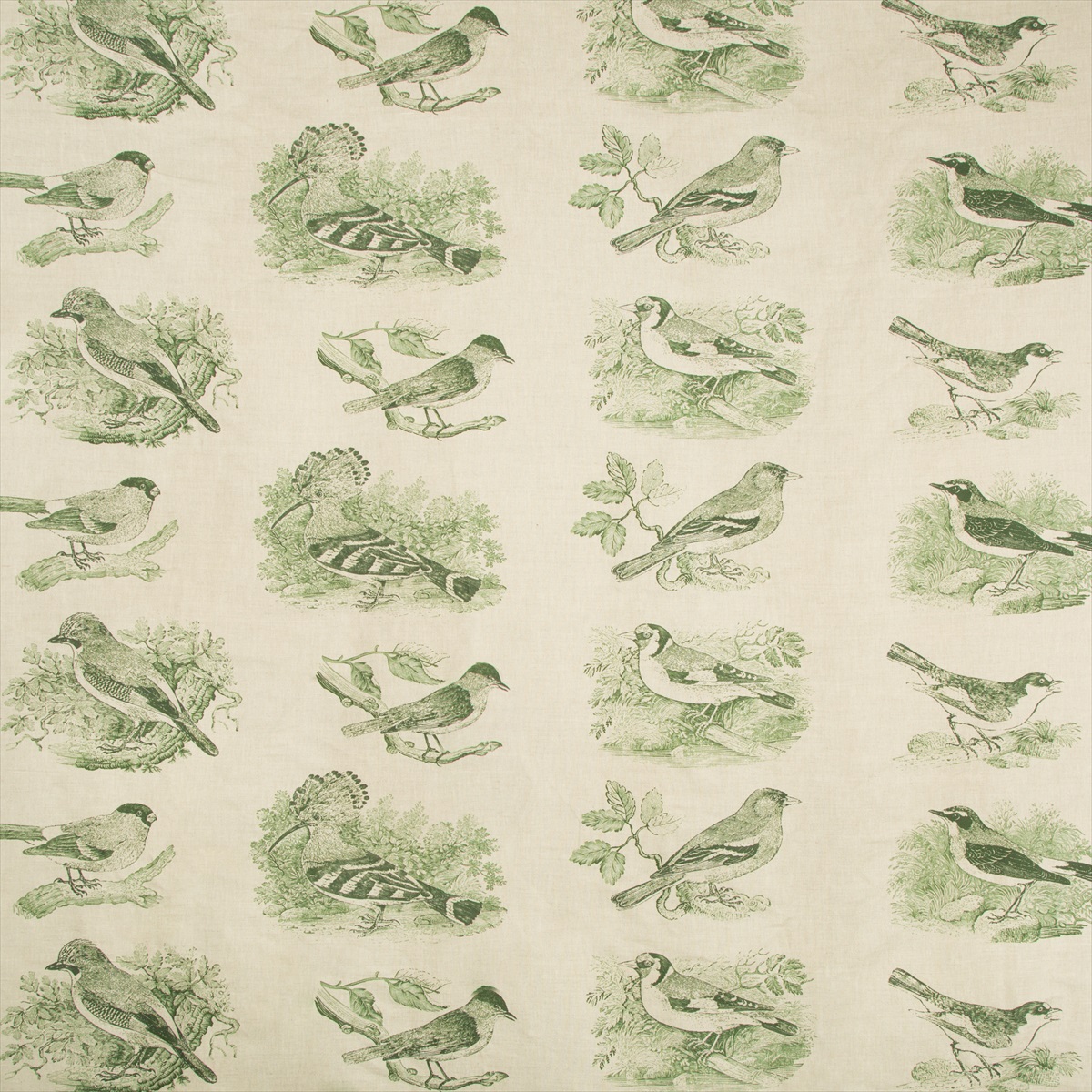 Sumter Toile 2017134-3