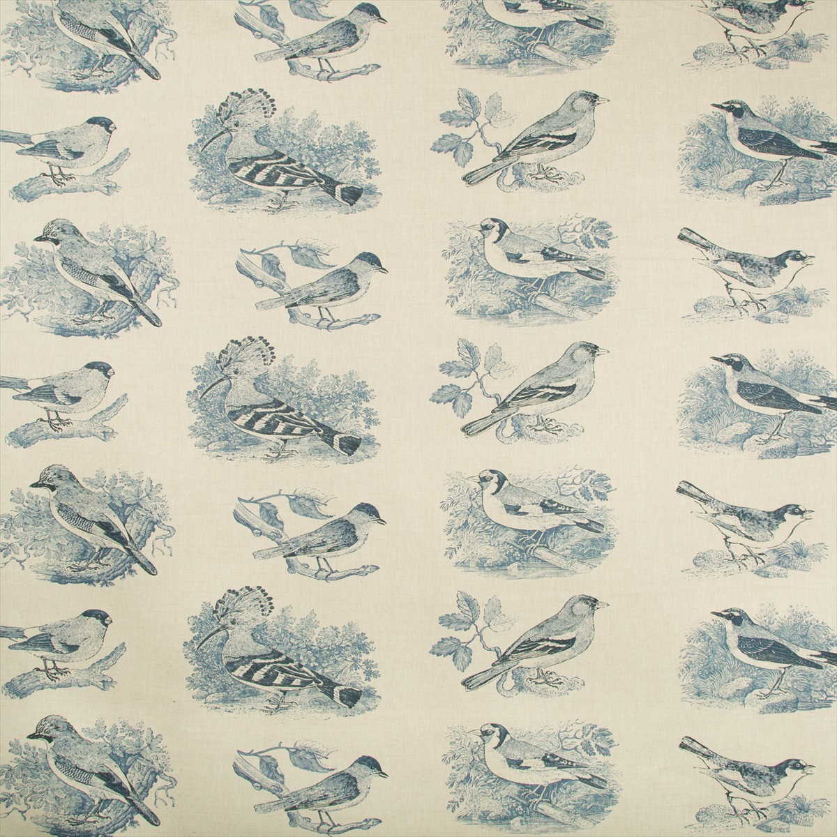 Sumter Toile 2017134-5