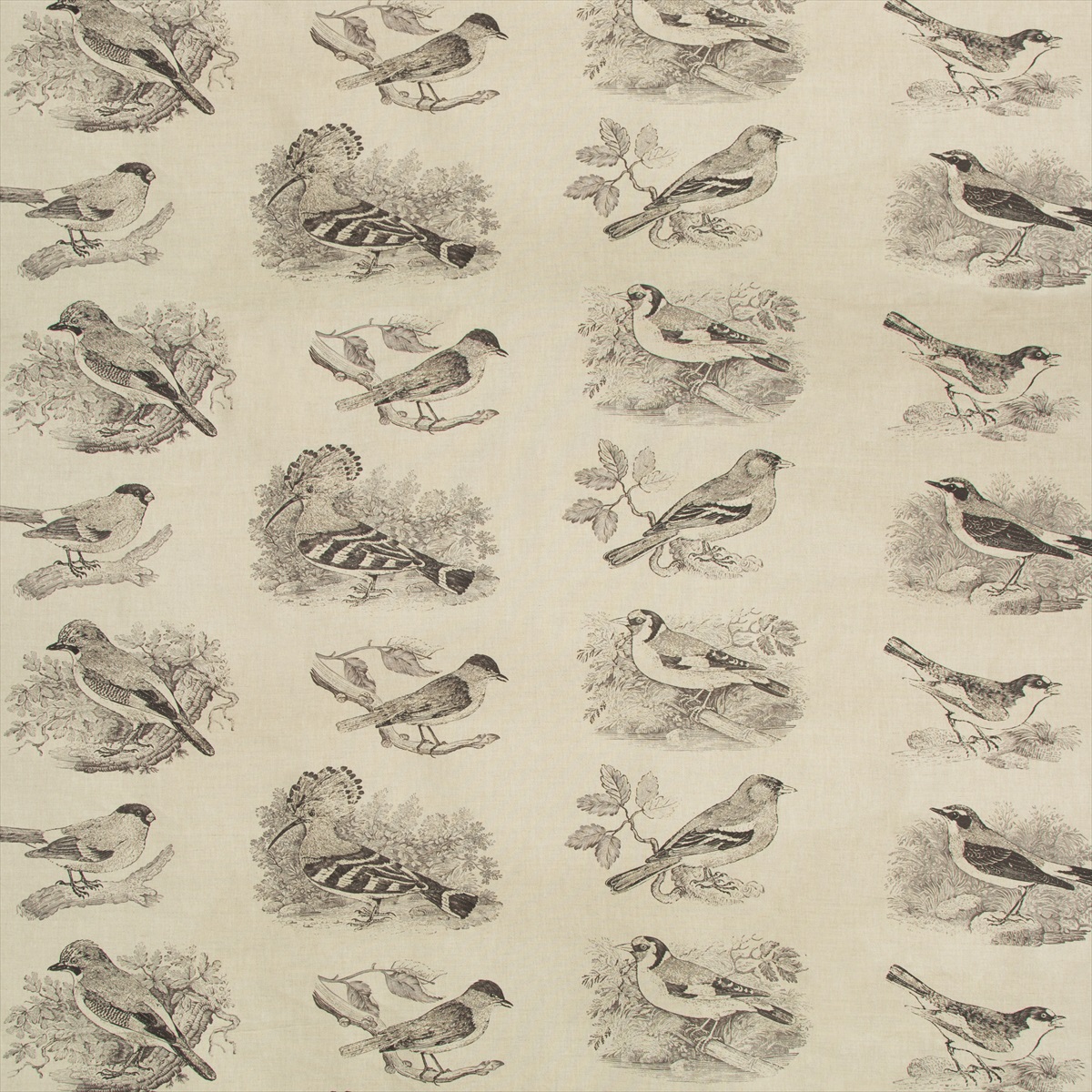 Sumter Toile 2017134-8