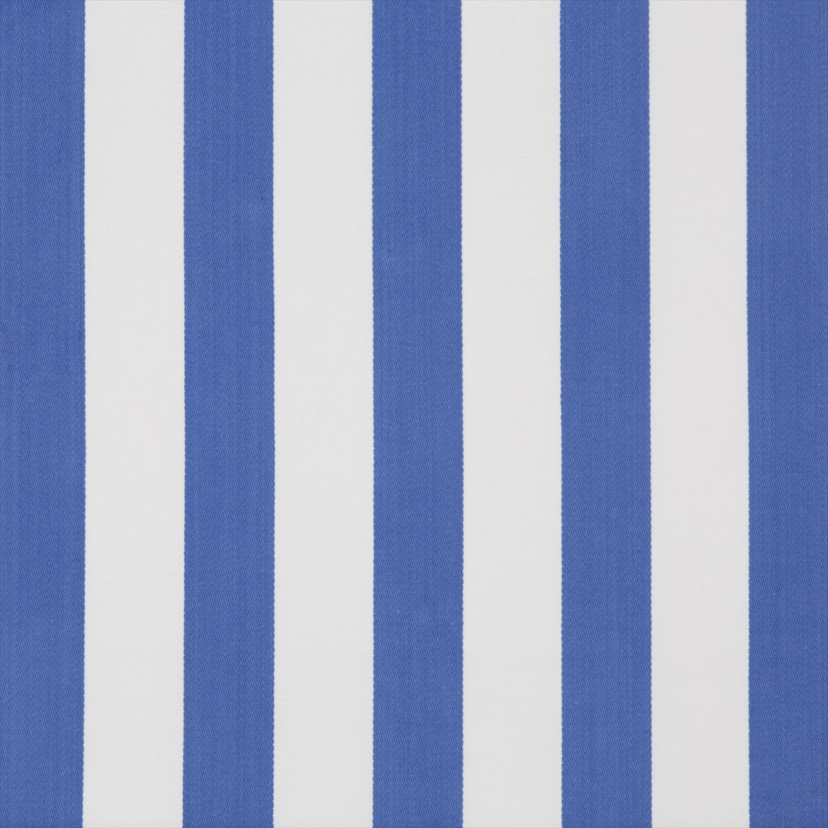 Surf Stripe 2016117-115