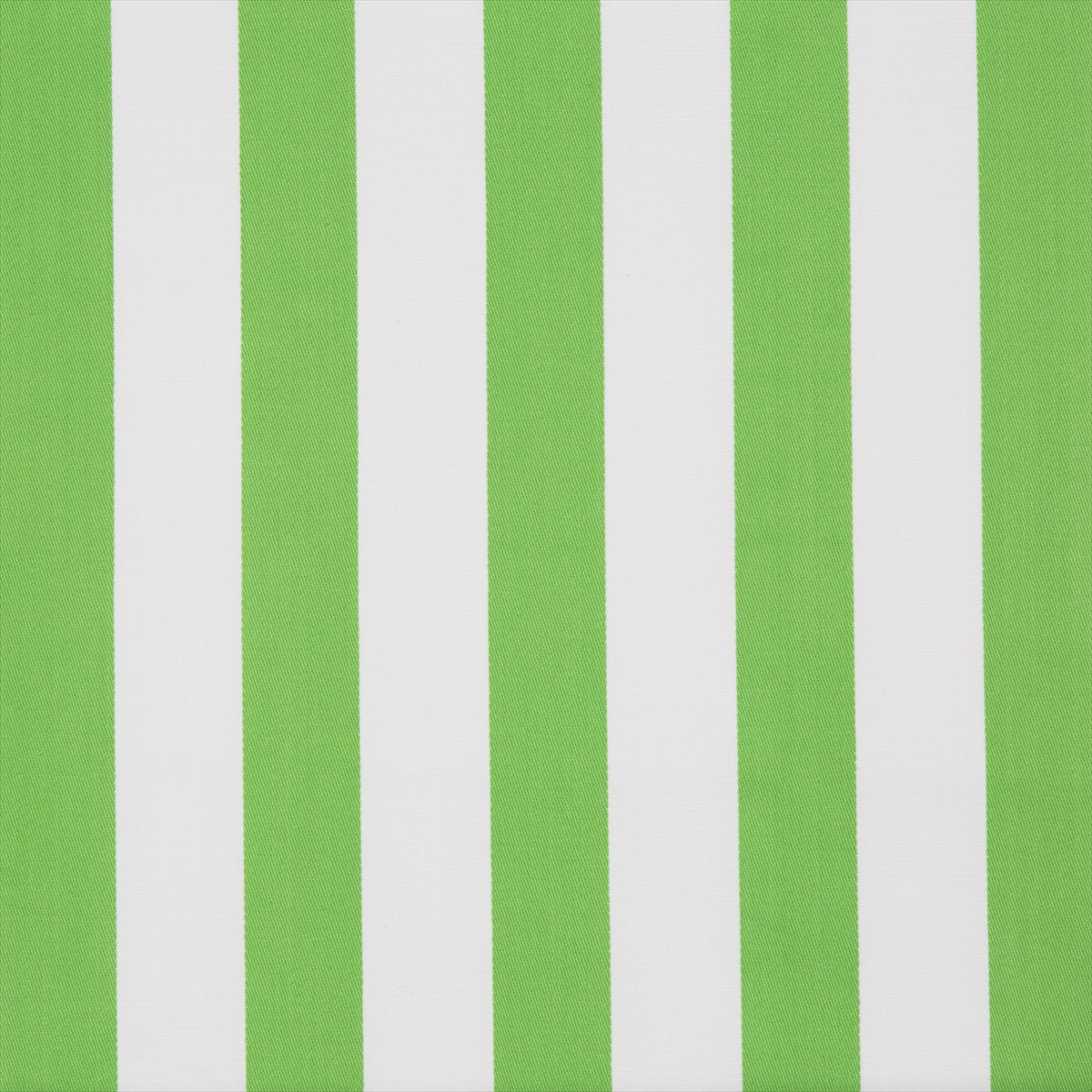 Surf Stripe 2016117-123