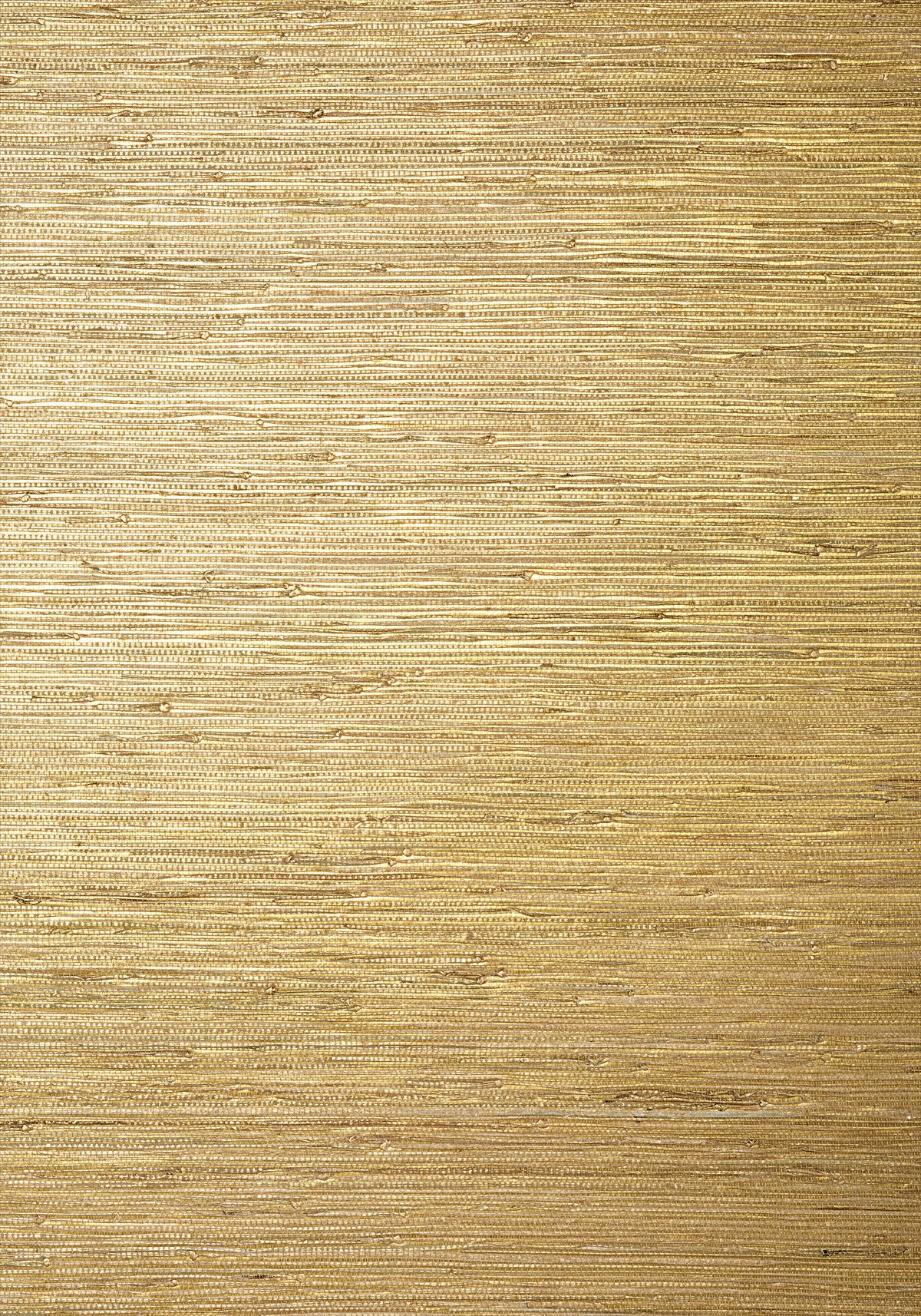 Sutton T24062
