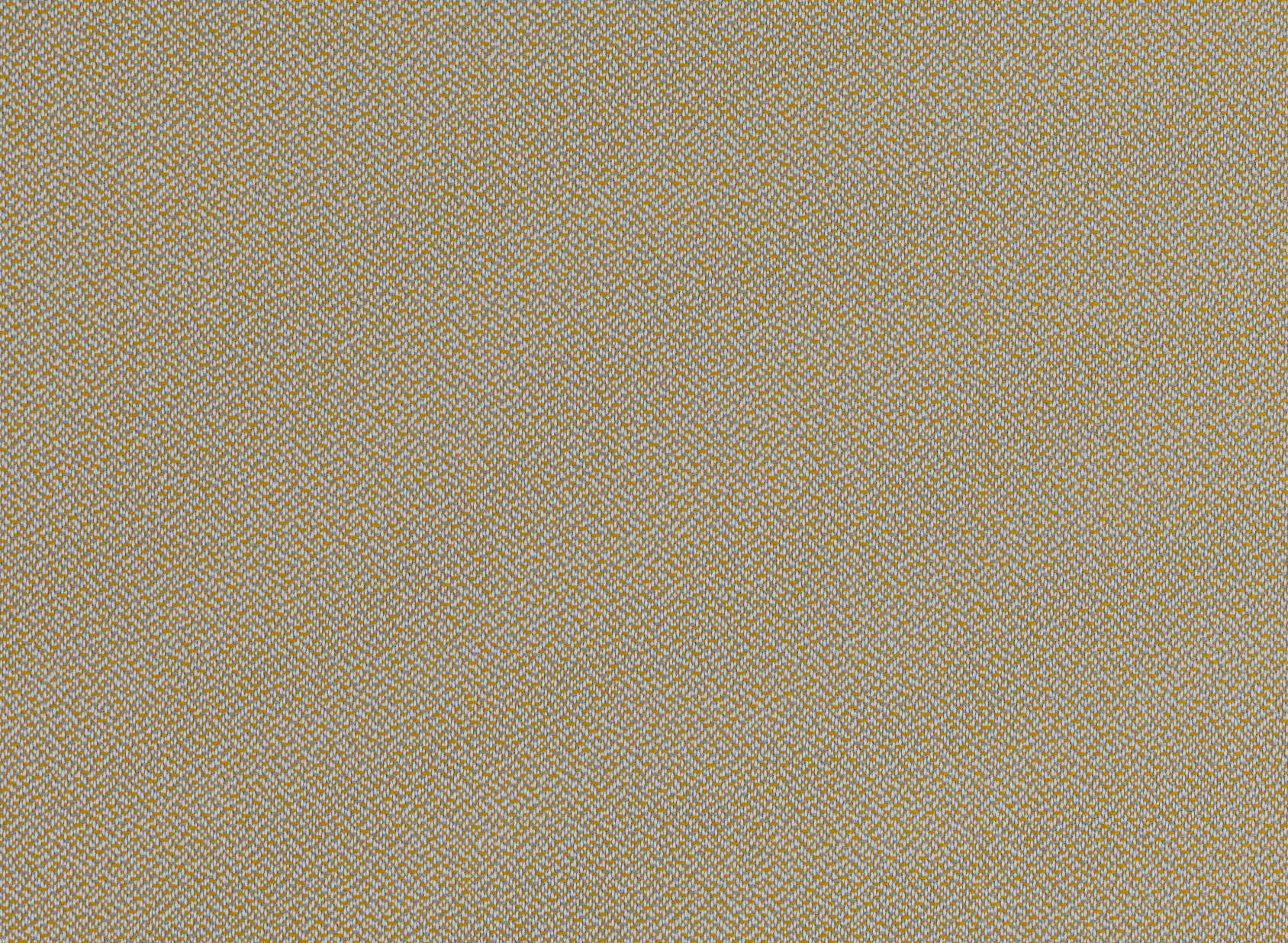 Suva Maize 7893-06