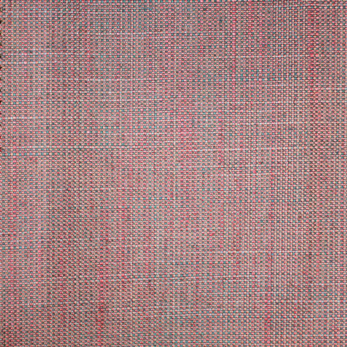 Acer 16 Mauve