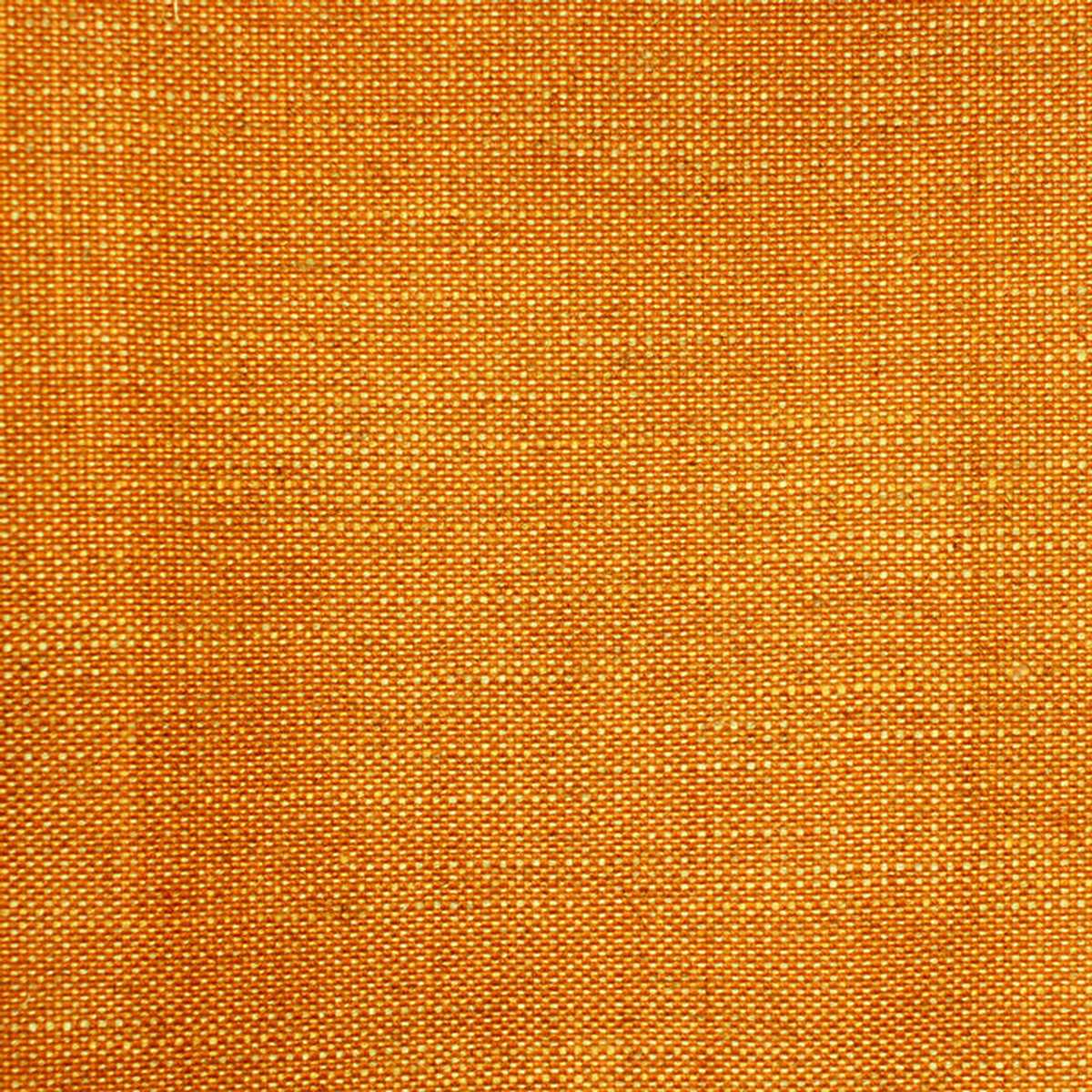 Acer 22 Pumpkin